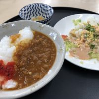 今日のごはん